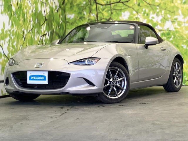 ロードスター1.5 ブラウン トップ