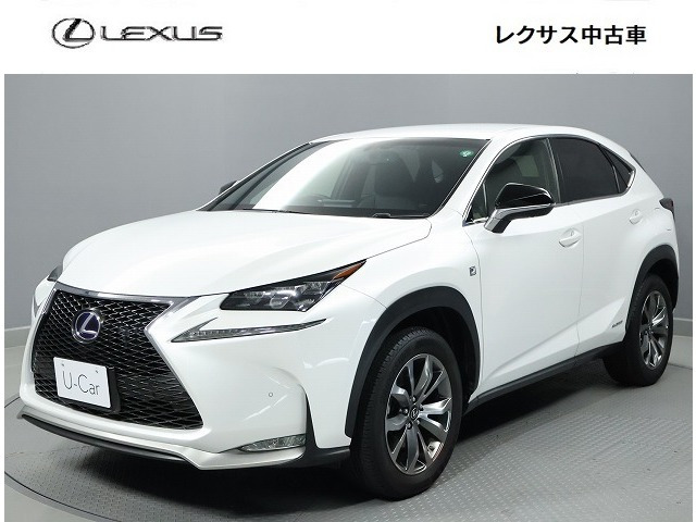 NX300h Fスポーツ