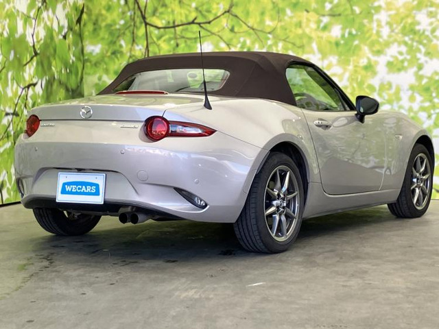 ロードスター1.5 ブラウン トップ