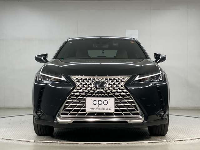 UX250h グレイスフル エクスプローラー