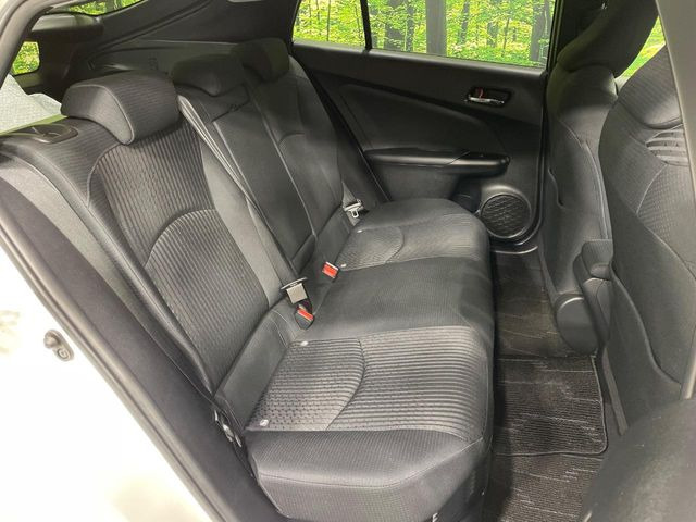 �㕔���Ȃ��C�ɂȂ�悤�ȃL�Y�E�����ւ��蓙�A�傫�ȃ_���[�W�͂Ȃ��A�ǍD�ȏ�Ԃł��B