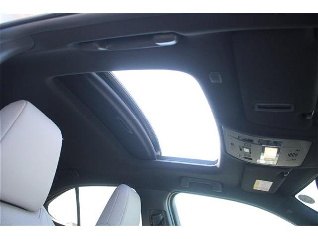 ���ЃI�[�g���[���͓����E�{�[�i�X�����s�v�B�Œ�84��܂ŉ\�ƂȂ��Ă���܂��B�R�������ł��\���܂���̂ł��C�y�ɂ����k�������B