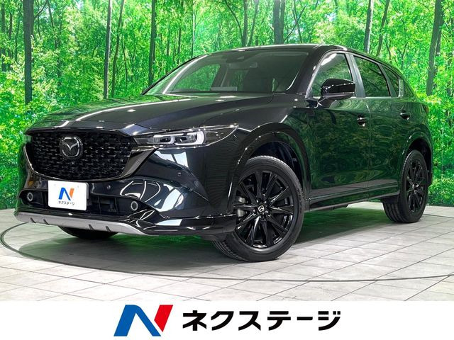 CX-5（マツダ）2.0 20S ブラックトーンエディション 中古車画像