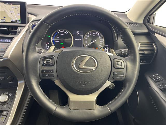 NX300h Iパッケージ