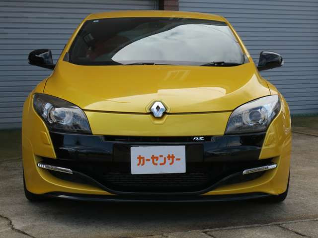 メガーヌスポール クールグレー レザーリミテッド