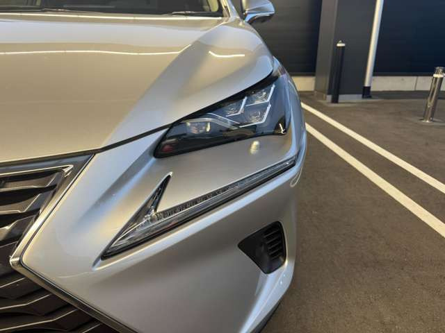 NX300h Iパッケージ