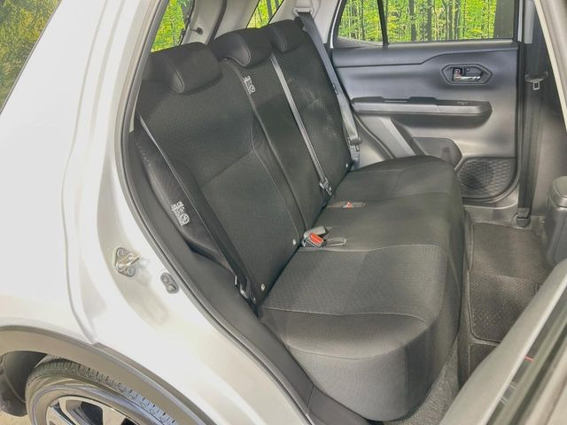 �㕔���Ȃ��C�ɂȂ�悤�ȃL�Y�E�����ւ��蓙�A�傫�ȃ_���[�W�͂Ȃ��A�ǍD�ȏ�Ԃł��B