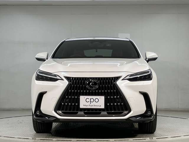 NX250 バージョンL