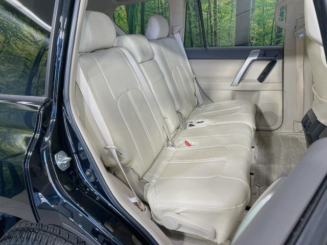 �㕔���Ȃ��C�ɂȂ�悤�ȃL�Y�E�����ւ��蓙�A�傫�ȃ_���[�W�͂Ȃ��A�ǍD�ȏ�Ԃł��B