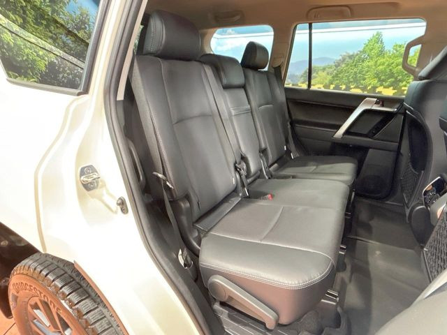 �㕔���Ȃ��C�ɂȂ�悤�ȃL�Y�E�����ւ��蓙�A�傫�ȃ_���[�W�͂Ȃ��A�ǍD�ȏ�Ԃł��B