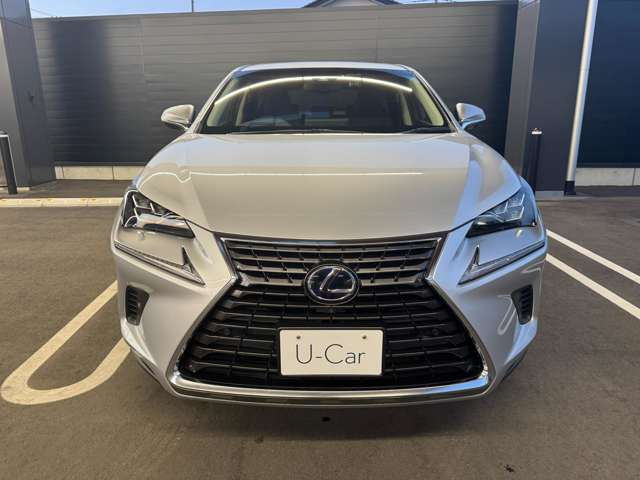 NX300h Iパッケージ