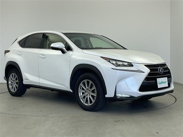 NX300h Iパッケージ