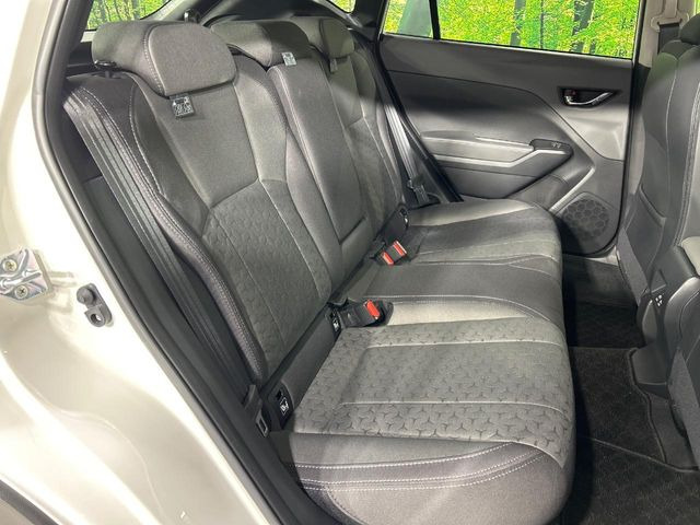 �㕔���Ȃ��C�ɂȂ�悤�ȃL�Y�E�����ւ��蓙�A�傫�ȃ_���[�W�͂Ȃ��A�ǍD�ȏ�Ԃł��B