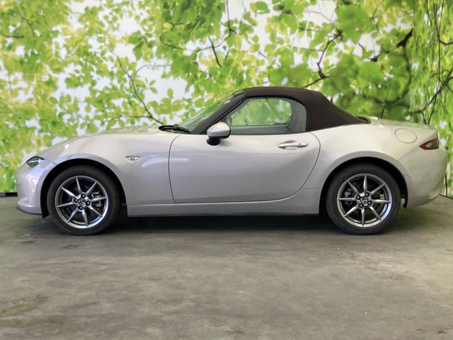 ロードスター1.5 ブラウン トップ