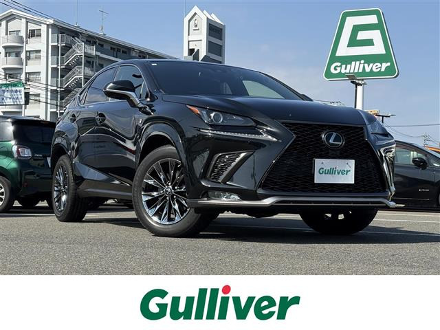 NX300 クール&amp;ブライト