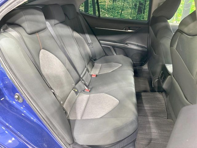 �㕔���Ȃ��C�ɂȂ�悤�ȃL�Y�E�����ւ��蓙�A�傫�ȃ_���[�W�͂Ȃ��A�ǍD�ȏ�Ԃł��B