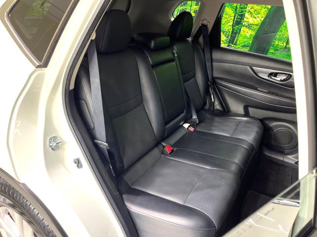 �㕔���Ȃ��C�ɂȂ�悤�ȃL�Y�E�����ւ��蓙�A�傫�ȃ_���[�W�͂Ȃ��A�ǍD�ȏ�Ԃł��B