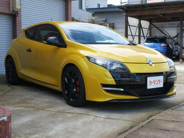 メガーヌスポール クールグレー レザーリミテッド