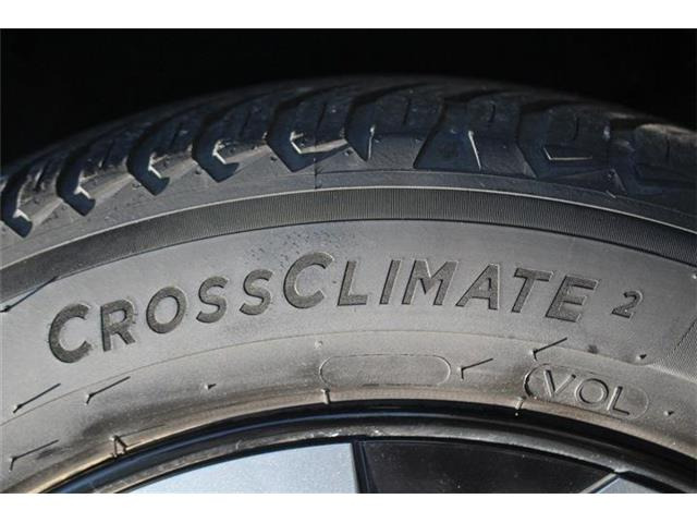 ���Ǝҗl�ւ̔̔��͂��f�肳���Ă��������܂��B �Ԍ������ԗ��̏ꍇ�́A�Ԍ����擾�������x�������z�ŕ\�����Ă���܂��B