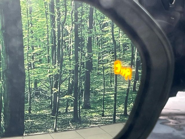 �y�u���C���h�X�|�b�g���j�^�[�z���s���A�h�A�~���[�̎��p�ɂȂ�₷���ӏ��Ɍ㑱�Ԃ��ڋ߂���ƃT�C�h�~���[�̃����Y�Ɍx����\��!�h���C�o�[�ɒ��ӊ��N�����Ă���܂��B