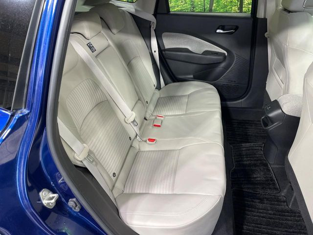 �㕔���Ȃ��C�ɂȂ�悤�ȃL�Y�E�����ւ��蓙�A�傫�ȃ_���[�W�͂Ȃ��A�ǍD�ȏ�Ԃł��B