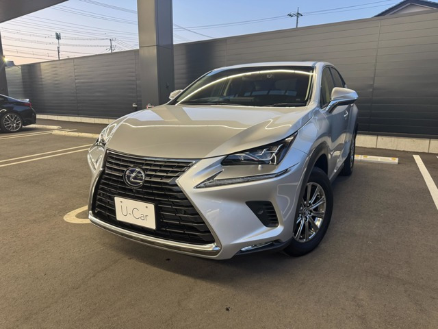 NX300h Iパッケージ