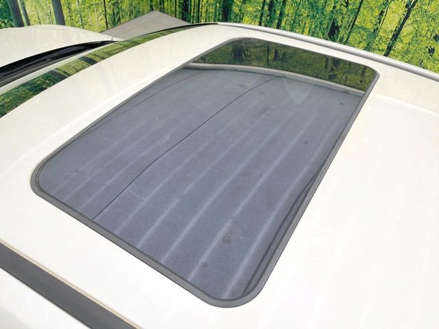 �y�T�����[�t�z�J���������Ղ�̊󏭑����A�T�����[�t����������Ă��܂�!�ԓ��ɖ�����������ꂽ��i�F���y���ވȊO�ɂ��A�ԓ��̋�C���ȒP�Ɋ��C�ł��ĉ��K�ł�!