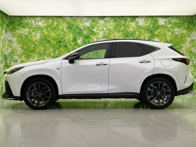 NX350h Fスポーツ