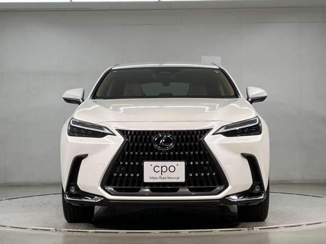 NX450hプラス バージョンL 4WD