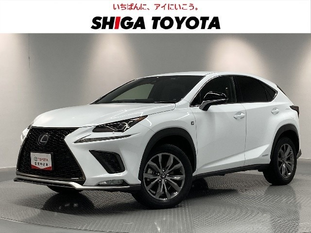 NX300h Fスポーツ