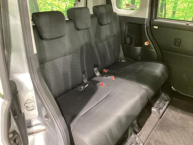 �㕔���Ȃ��C�ɂȂ�悤�ȃL�Y�E�����ւ��蓙�A�傫�ȃ_���[�W�͂Ȃ��A�ǍD�ȏ�Ԃł��B