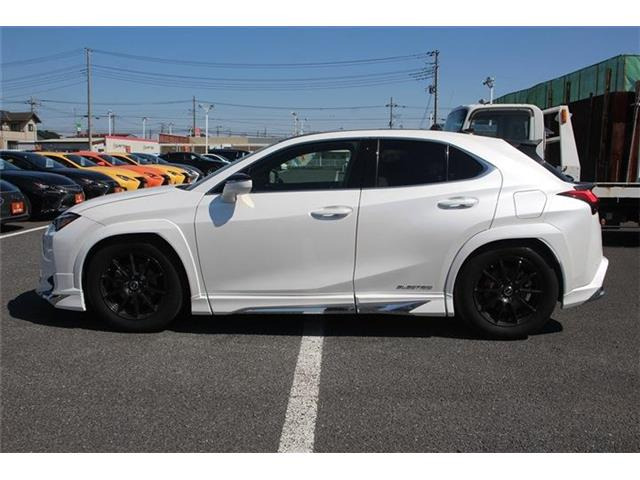 ���Ǝҗl�ւ̔̔��͂��f�肳���Ă��������܂��B �Ԍ������ԗ��̏ꍇ�́A�Ԍ����擾�������x�������z�ŕ\�����Ă���܂��B