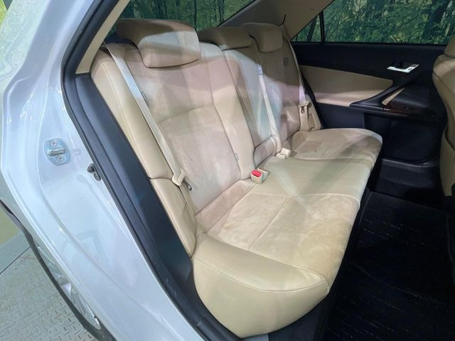 �㕔���Ȃ��C�ɂȂ�悤�ȃL�Y�E�����ւ��蓙�A�傫�ȃ_���[�W�͂Ȃ��A�ǍD�ȏ�Ԃł��B