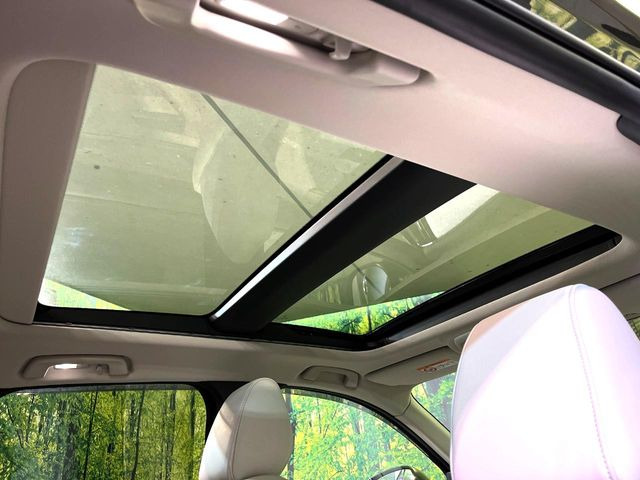 �y�T�����[�t�z�J���������Ղ�̊󏭑����A�T�����[�t����������Ă��܂�!�ԓ��ɖ�����������ꂽ��i�F���y���ވȊO�ɂ��A�ԓ��̋�C���ȒP�Ɋ��C�ł��ĉ��K�ł�!