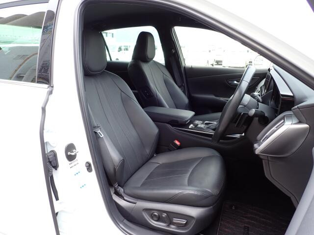 �^�]�Ȃ��傫�ȎC����Ȃ���ԗǍD�ł��B