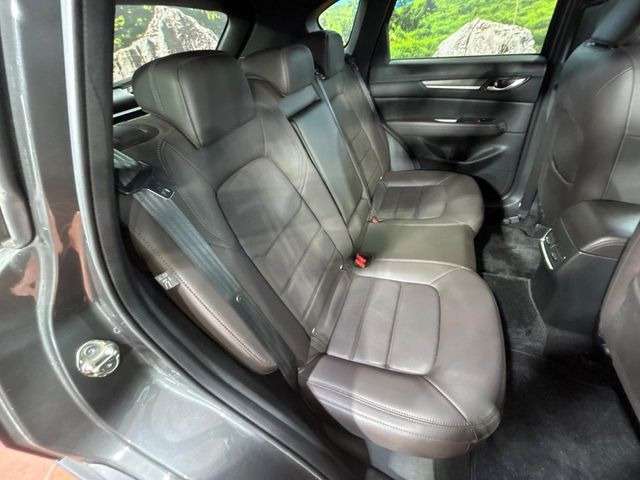 �㕔���Ȃ��C�ɂȂ�悤�ȃL�Y�E�����ւ��蓙�A�傫�ȃ_���[�W�͂Ȃ��A�ǍD�ȏ�Ԃł��B