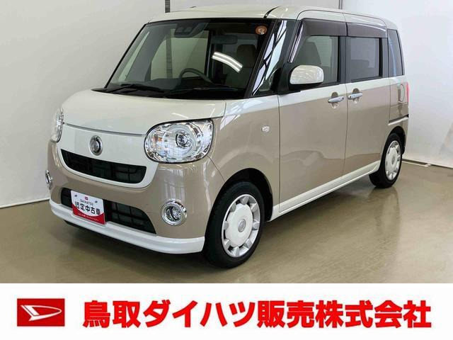 ムーヴキャンバスG SAIII