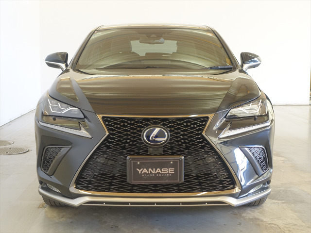 NX300h Fスポーツ