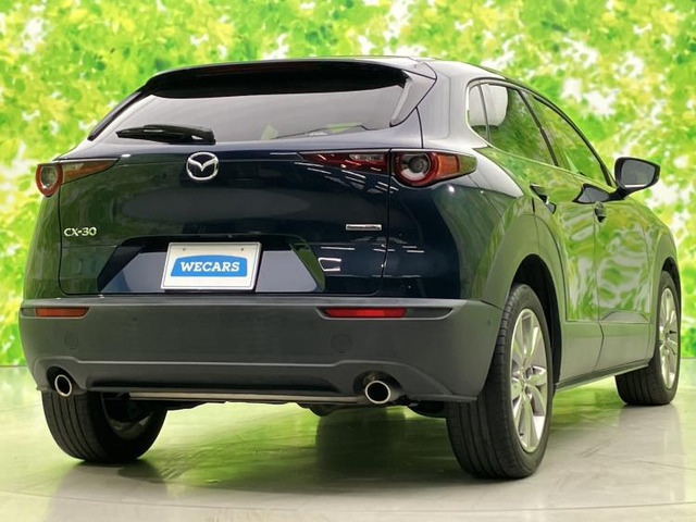 CX-302.0 20S プロアクティブ