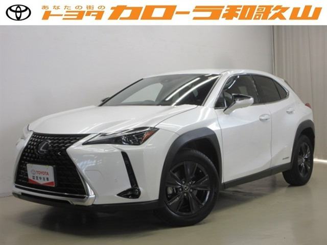 UX250h バージョンC