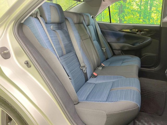 �㕔���Ȃ��C�ɂȂ�悤�ȃL�Y�E�����ւ��蓙�A�傫�ȃ_���[�W�͂Ȃ��A�ǍD�ȏ�Ԃł��B