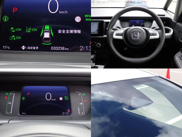 �^�]�Ȃ��傫�ȎC����Ȃ���ԗǍD�ł��B