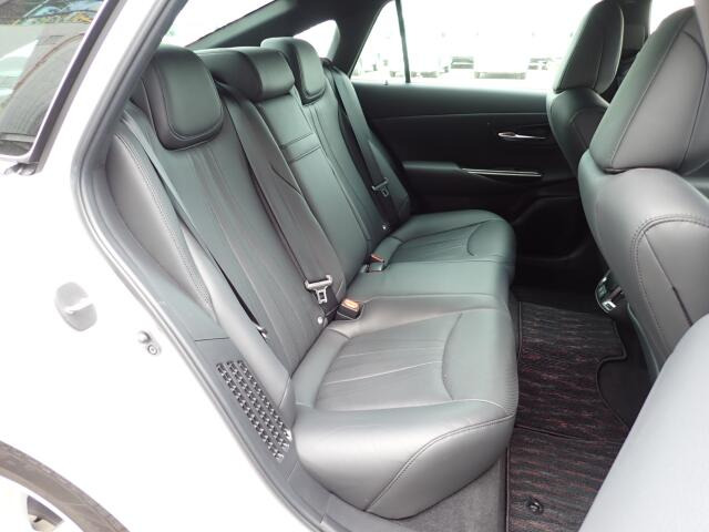 �㕔���Ȃ��傫�ȎC����Ȃ���ԗǍD�ł��B