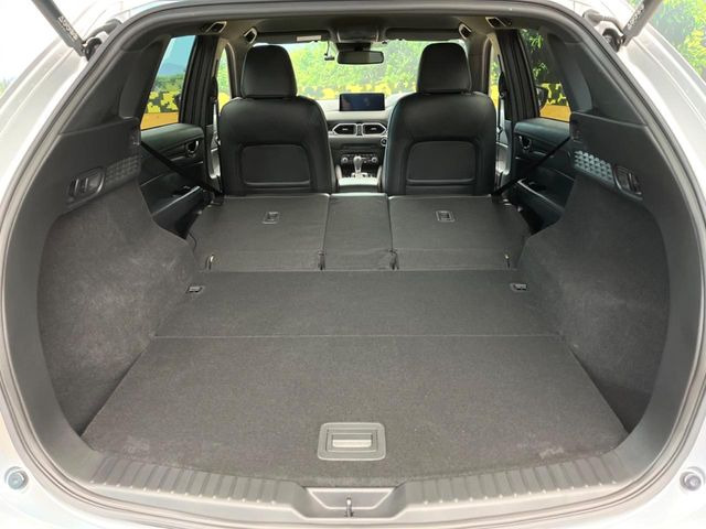 ���i�̂���������ʋ΁A���}���ɏ\���ȉ׎��X�y�[�X���m�ۂ��Ă���܂��B�Z�J���h�V�[�g��|���ƁA�傫�ȉו��̐ύڂ��\�ł���