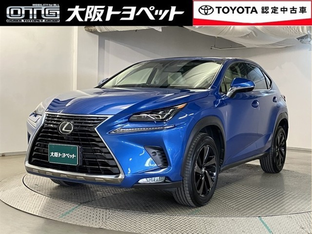 NX300 バージョンL