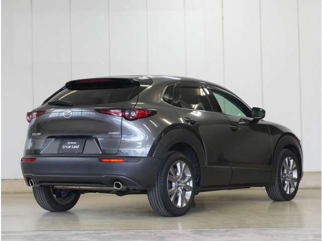 CX-301.8 XD Lパッケージ