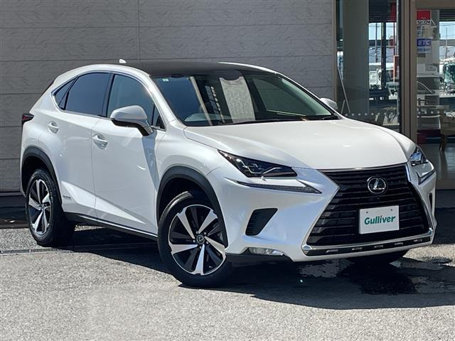 NX300h バージョンL