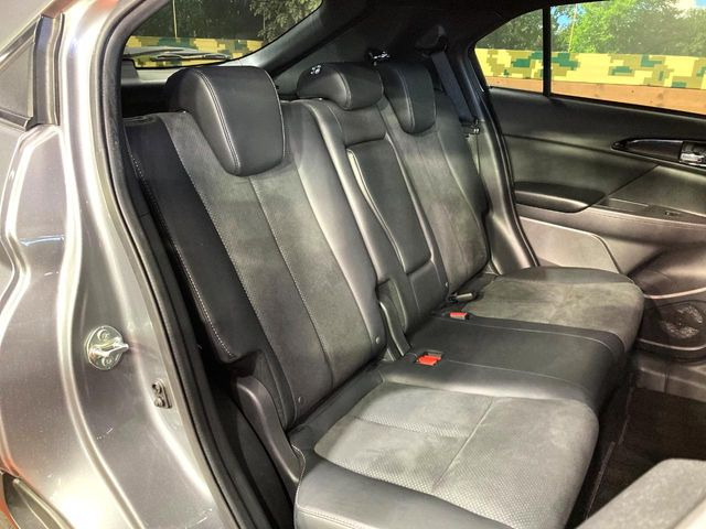 �㕔���Ȃ��C�ɂȂ�悤�ȃL�Y�E�����ւ��蓙�A�傫�ȃ_���[�W�͂Ȃ��A�ǍD�ȏ�Ԃł��B