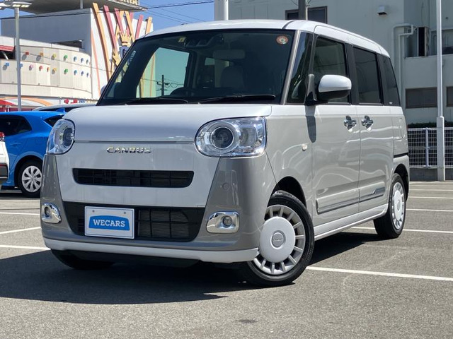 ムーヴキャンバスストライプス G