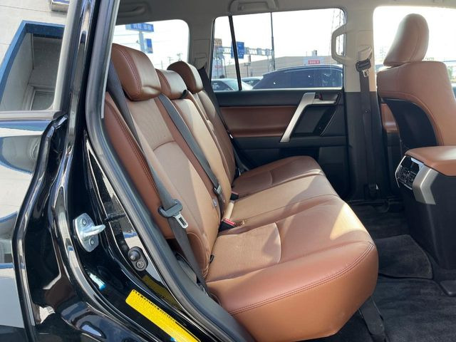 �㕔���Ȃ��C�ɂȂ�悤�ȃL�Y�E�����ւ��蓙�A�傫�ȃ_���[�W�͂Ȃ��A�ǍD�ȏ�Ԃł��B